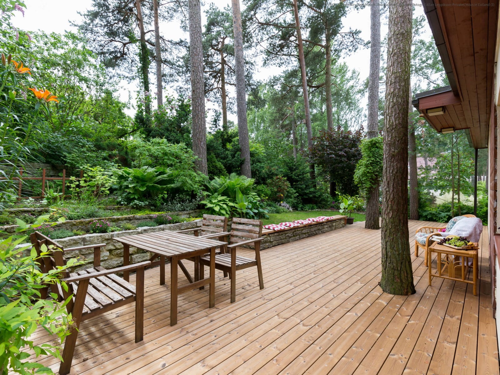 Terrassendiele Thermokiefer, 26x115x4800mm