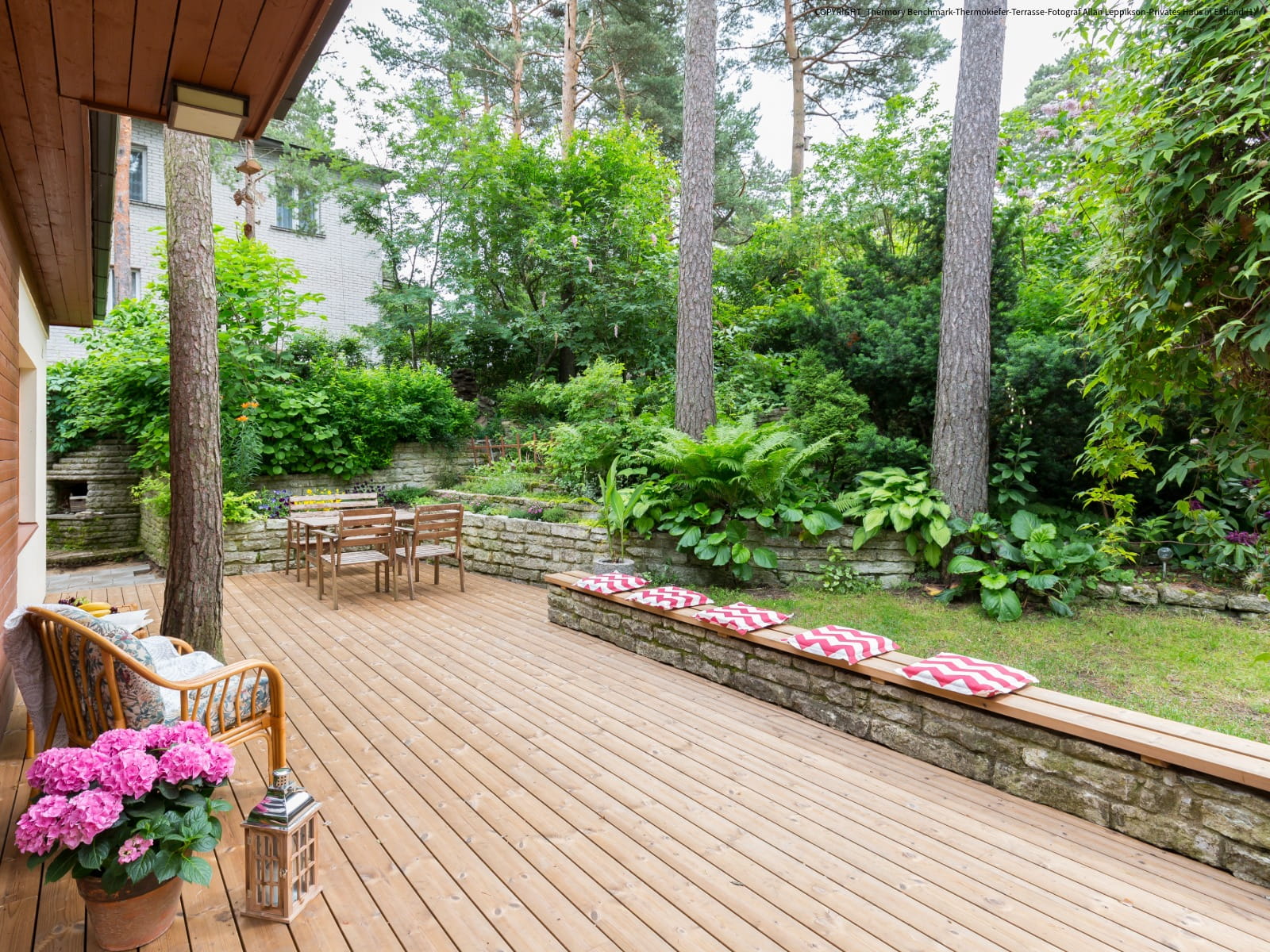 Terrassendiele Thermokiefer, 26x115x3000mm