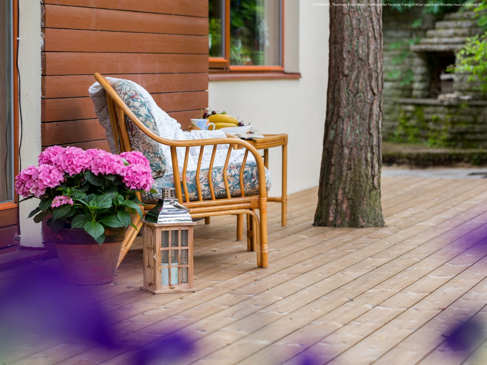 Terrassendiele Thermokiefer, 26x115x5100mm