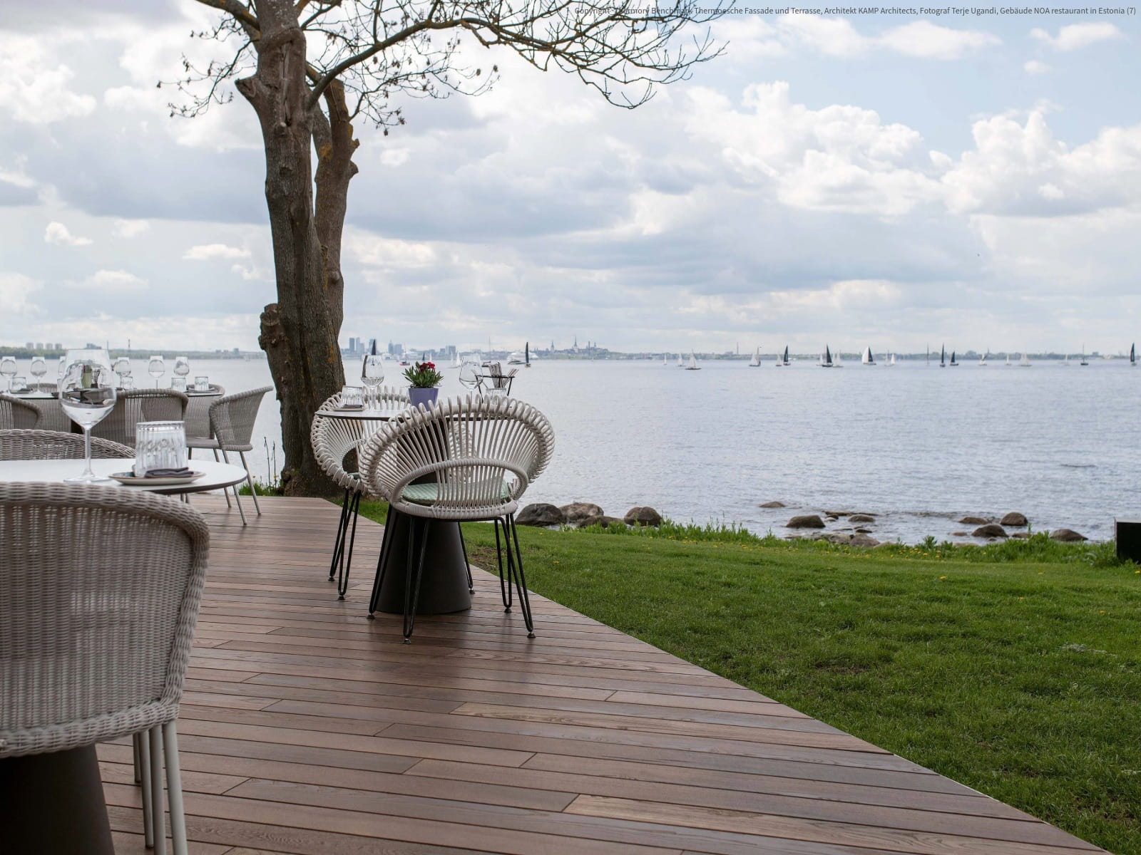 Terrassendiele Thermoesche select 21x125x3000mm mit Seno-Fräsung