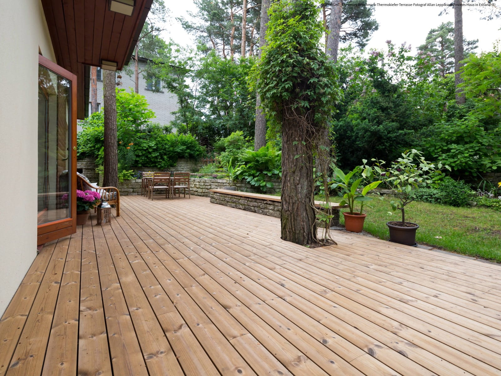 Terrassendiele Thermokiefer, 26x115x5400mm