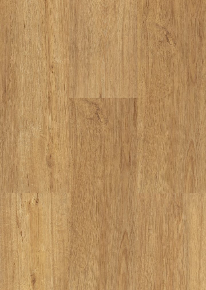 Vinylboden Concept Floor Eiche Forest HDF
